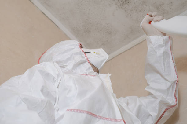 Best Mold Testing  in Newark, NJ