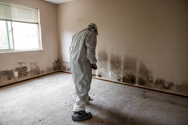 Best Professional Mold Removal  in Newark, NJ